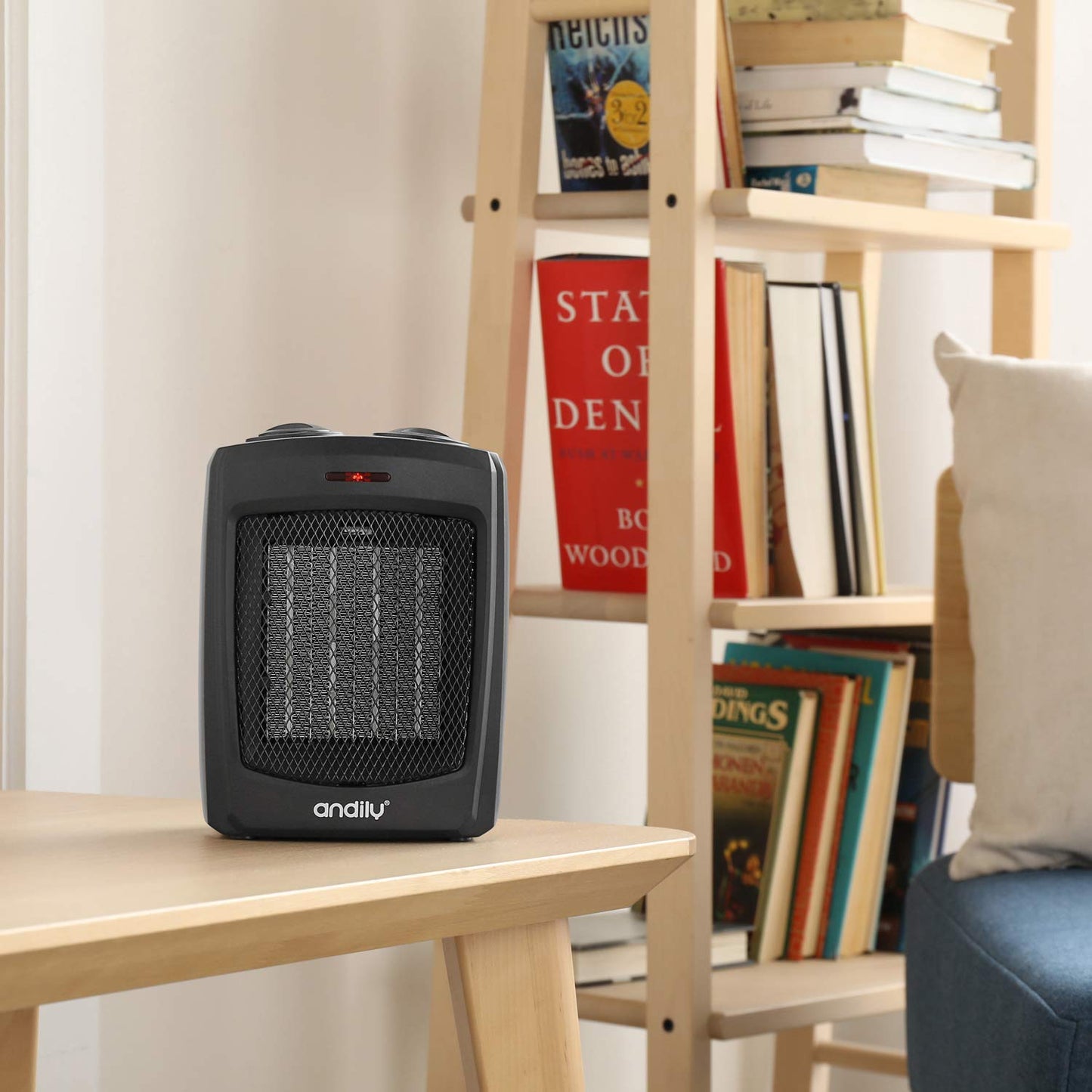 Ceramic Small Heater with Thermostat, Quiet and Compact - Black